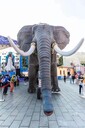 巡游花车巡游机械大象出租租赁16米机械大象出租出售