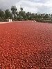 青海海西彩色路面胶销售透水混凝土材料厂家，彩色透水地坪材料