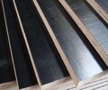 蘇州張家港市建筑模板和木方廠家批發