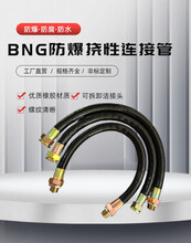 防爆挠性连接管BNG防爆软管4分挠性管穿线管DN20防爆管DN15可定制