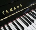 雅马哈U3H卡瓦伊等初学者或考级用二手钢琴批发零售