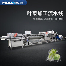 中央厨房大型商用叶菜净菜设备流水线图片