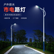 浙江金华LED市电路灯生产厂家定制多种异型灯杆