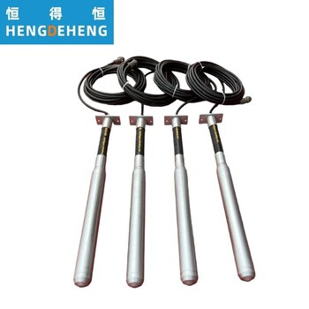 電機(jī)內(nèi)置加氣磚高頻振動(dòng)棒氣泡整理機(jī)