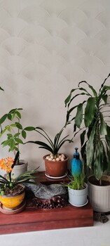 為什么用活畫石德國智能墻材要好于其他墻面材料？