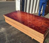 木模板工厂批发房建支模木模板厚薄均匀接缝小周转8次以上