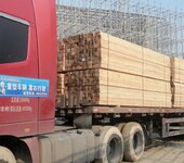 广东直供工程工地木方条铁杉建筑模板木条按需加工量大优惠