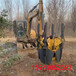 河南开封起苗断根挖树机带土球铲式起树机的工作视频