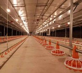山东华邦养殖设备平养料盘养殖设备笼具
