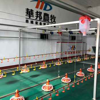 山東華邦自動化養(yǎng)殖設(shè)備喂料盤平養(yǎng)籠養(yǎng)廠家
