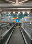 山东华邦生产养殖设备自动化设备养鸡养鸭笼具