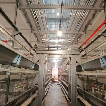 热镀锌鸡笼批发河南鸡笼厂供应自动化鸡笼设备