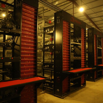 河南鸡笼厂供应全自动蛋鸡笼层叠蛋鸡笼价格皮带清粪设备