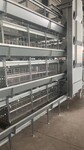 大层叠蛋鸡笼立式鸡笼设备带清粪机喂料机自动养鸡设备
