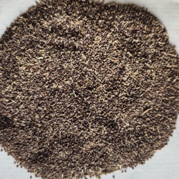 新疆鹽爪爪種子，新疆鹽爪爪分布