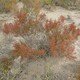IMG_20220929_130217