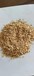 豌豆蛋白渣高蛋白指标好替代豆粕棉粕禽类反刍水产均可添加