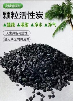 活性炭化學(xué)工業(yè)催化劑特俐牌果殼活性炭濾料