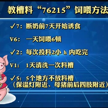 山東同慧核包蛋小豬教槽料
