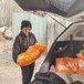 山東同慧豬飼料核包蛋教槽料