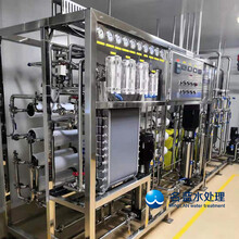重庆LRO-2TEDI超纯水设备大型工业用超纯水机
