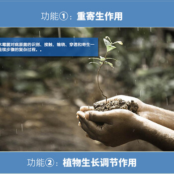 哈茨木霉分幾種?