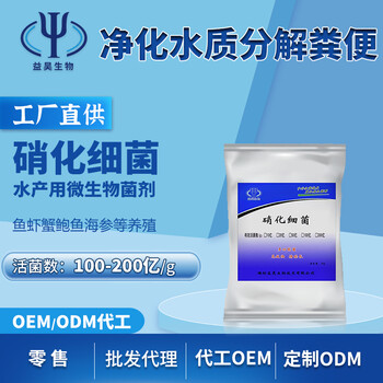 硝化細(xì)菌水產(chǎn)養(yǎng)殖降氨氮調(diào)節(jié)PH值污水處理