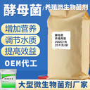 釀酒酵母菌飼料發(fā)酵促生長益昊生物飼料添加劑