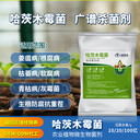 哈茨木霉菌菌肥原料預(yù)防真菌病益昊生物微生物菌劑