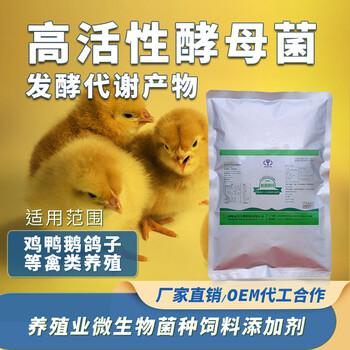禽类酵母菌调肠育肥提高肉料比益昊生物饲料添加剂