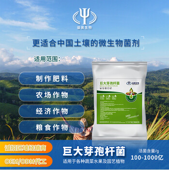 芽孢降解有機(jī)磷增加肥效菌肥原料益昊生物微生物菌劑10
