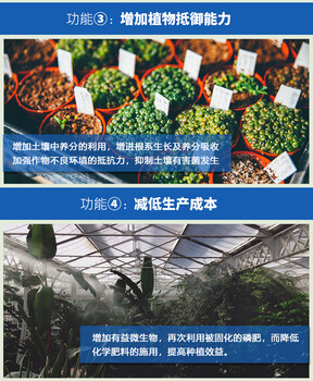 芽孢降解有機(jī)磷增加肥效菌肥原料益昊生物微生物菌劑10