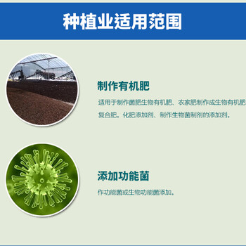 芽孢降解有機(jī)磷增加肥效菌肥原料益昊生物微生物菌劑10