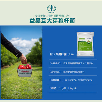 芽孢降解有機(jī)磷增加肥效菌肥原料益昊生物微生物菌劑10