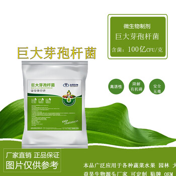 芽孢降解有機(jī)磷增加肥效菌肥原料益昊生物微生物菌劑10