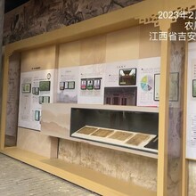 定制博物馆古董字画展示柜多功能荣誉产品陈列柜实木钢质玻璃柜子