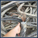 大兴安岭废铜电缆线回收免费评估