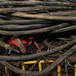 红河废铝芯电缆回收库存电缆回收新旧不限
