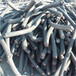 贺州废铝芯电缆回收库存电缆回收长期合作