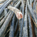 铜，铝电缆回收废铜回收废铝回收回收咨询