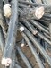 铜，铝电缆回收铝电缆回收电缆回收流程
