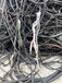 回收电缆线废旧电缆回收市场