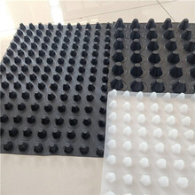 车库顶板排水板耐根刺塑料hdpe排水滤水板2cm高1200g凹凸板子卷材