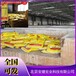 阿拉善盟c40灌漿料價格