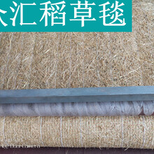 边坡绿化椰丝毯防护加筋毯边坡加固绿化植草毯椰丝毯规格