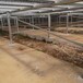 洛阳热镀锌温室大棚农业种植固定苗床