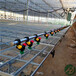航迪温室大棚农用行走式平移自动化喷灌机