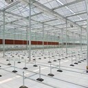 花卉育苗革命：移動(dòng)苗床帶來的與便捷
