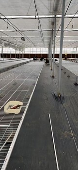 航迪定制生產固定苗床溫室育苗設施