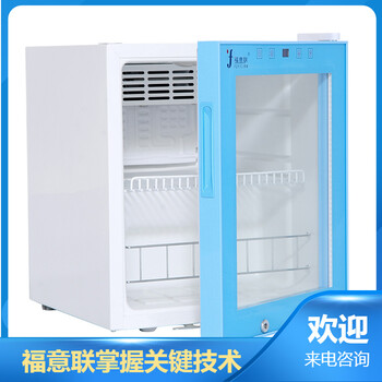 运输用车载冰箱福意联FYL-YS-45L-25-10℃容积45升